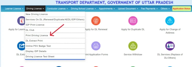 Driving Licence (DL) online